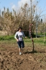 Nome del file=SanSperate_448.jpg
Dimensione del file=184KiB
Dimensioni=600x900
Aggiunta il=28 Gen 2009 SanSperate_448.jpg