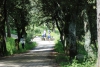 Nome del file=DSC_8769.JPG
Dimensione del file=221KiB
Dimensioni=600x402
Aggiunta il=10 Ott 2010 DSC_8769.JPG