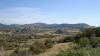 Nome del file=DSC01233.JPG
Dimensione del file=50KiB
Dimensioni=600x338
Aggiunta il=21 Giu 2009 DSC01233.JPG