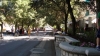 DSC00860.JPG