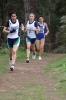DiGsp08_00539.jpg