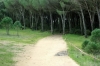 Ugolio_09_073.jpg