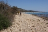 DSC00634.JPG
