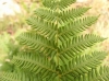 DSCF4474.JPG